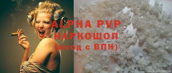 прущие грибы Балабаново