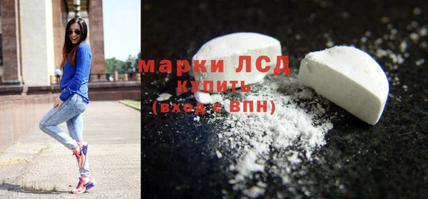 прущие грибы Балабаново
