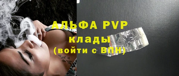 индика Наволоки